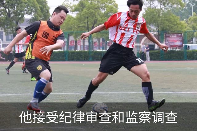 他接受纪律审查和监察调查