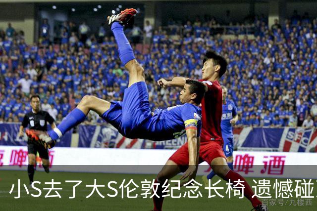 小S去了大S伦敦纪念长椅 遗憾碰到公园修整而错过